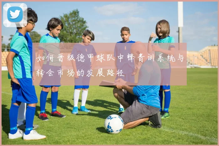 如何晋级德甲球队中锋青训系统与转会市场的发展路径