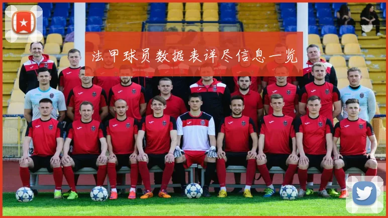 法甲球员数据表详尽信息一览