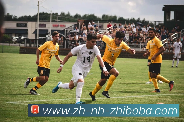 多媒体互动体验